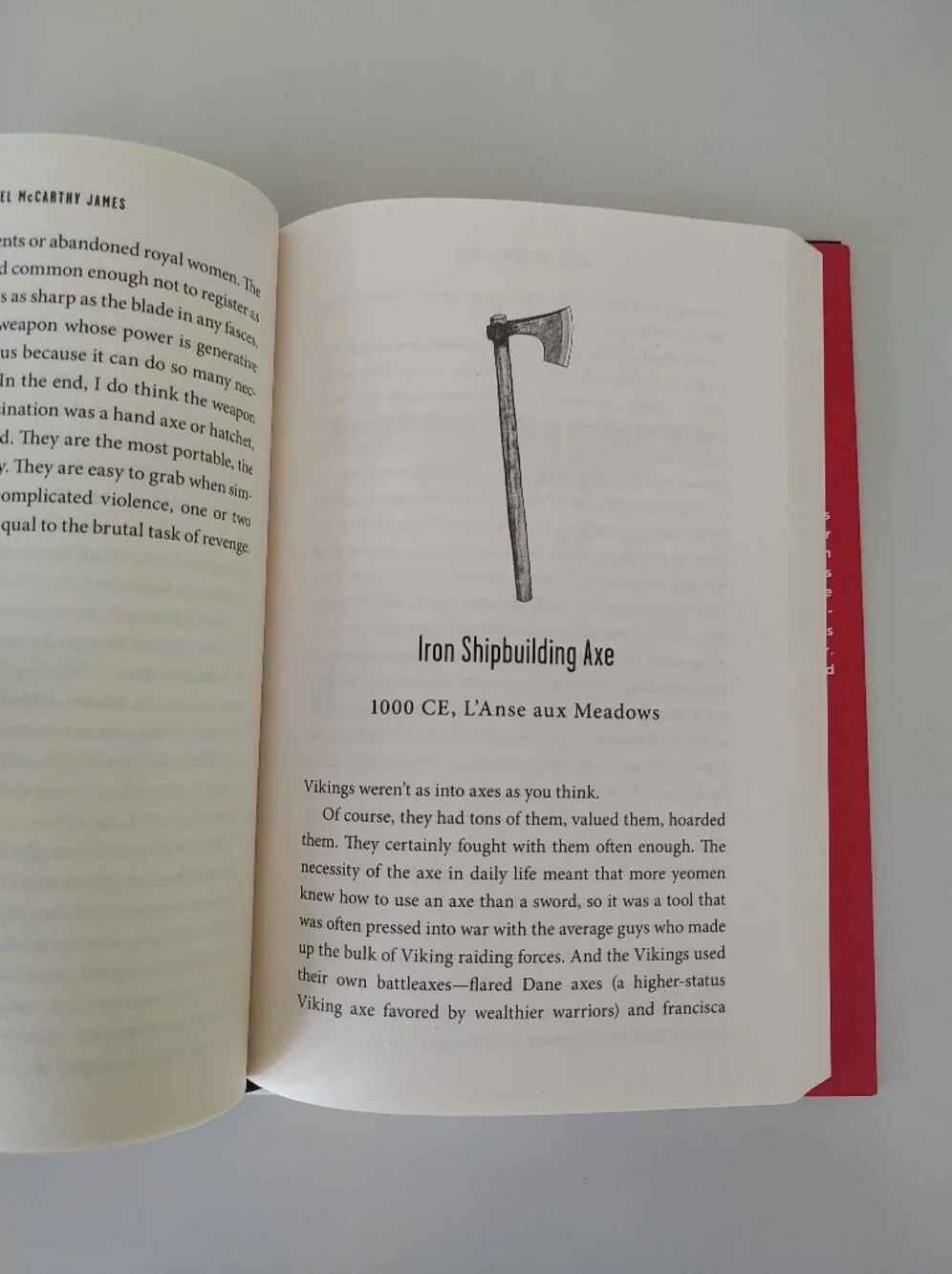 Whack Job: A History of Axe Murder By Rachel McCarthy James Nonfiction